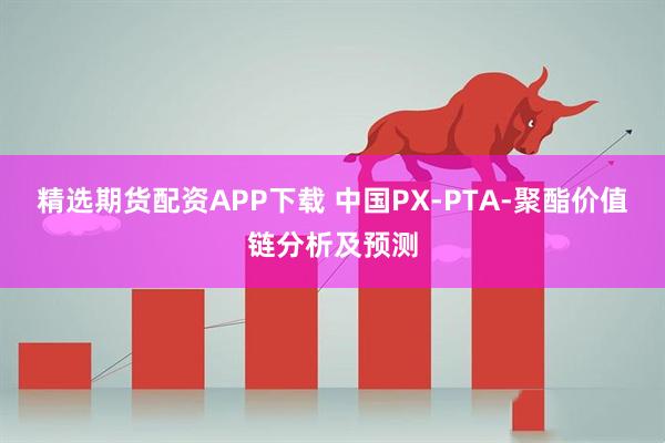 精选期货配资APP下载 中国PX-PTA-聚酯价值链分析及预测