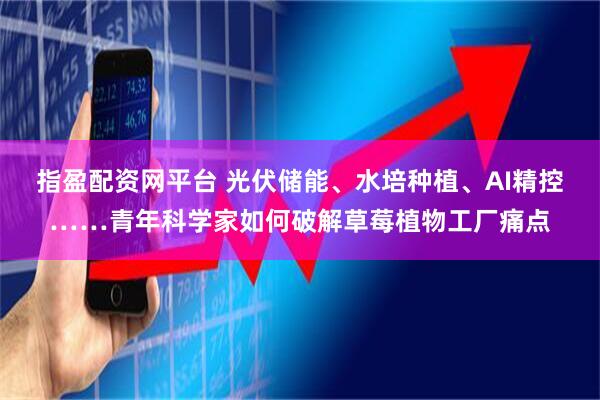 指盈配资网平台 光伏储能、水培种植、AI精控……青年科学家如何破解草莓植物工厂痛点