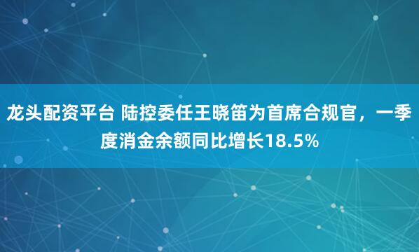 龙头配资平台 陆控委任王晓笛为首席合规官，一季度消金余额同比增长18.5%