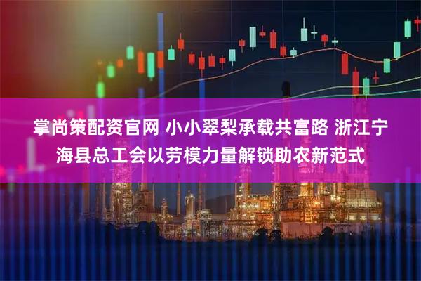 掌尚策配资官网 小小翠梨承载共富路 浙江宁海县总工会以劳模力量解锁助农新范式