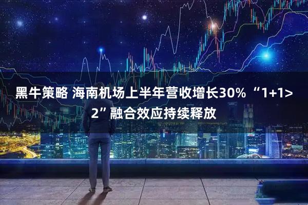 黑牛策略 海南机场上半年营收增长30% “1+1>2”融合效应持续释放