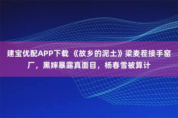 建宝优配APP下载 《故乡的泥土》梁麦茬接手窑厂，黑婶暴露真面目，杨春雪被算计